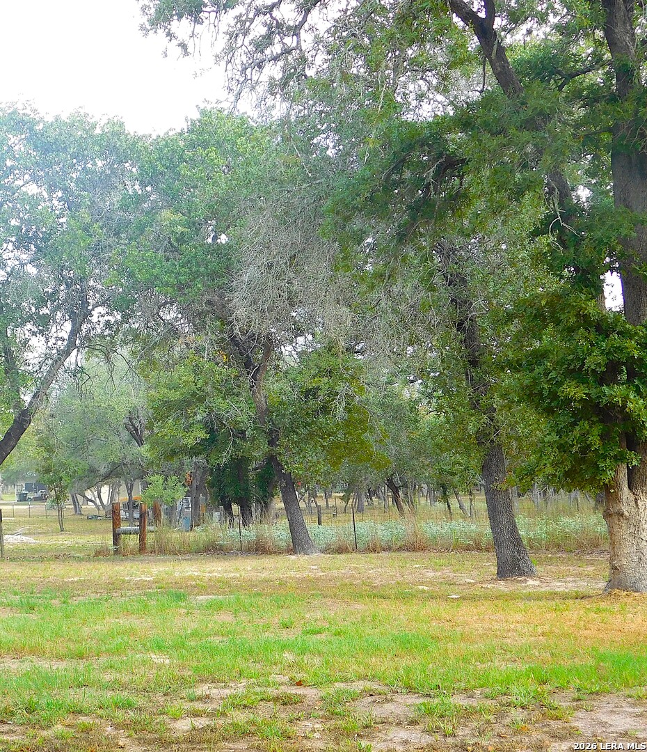110 Hunters Glen Floresville TX 78114