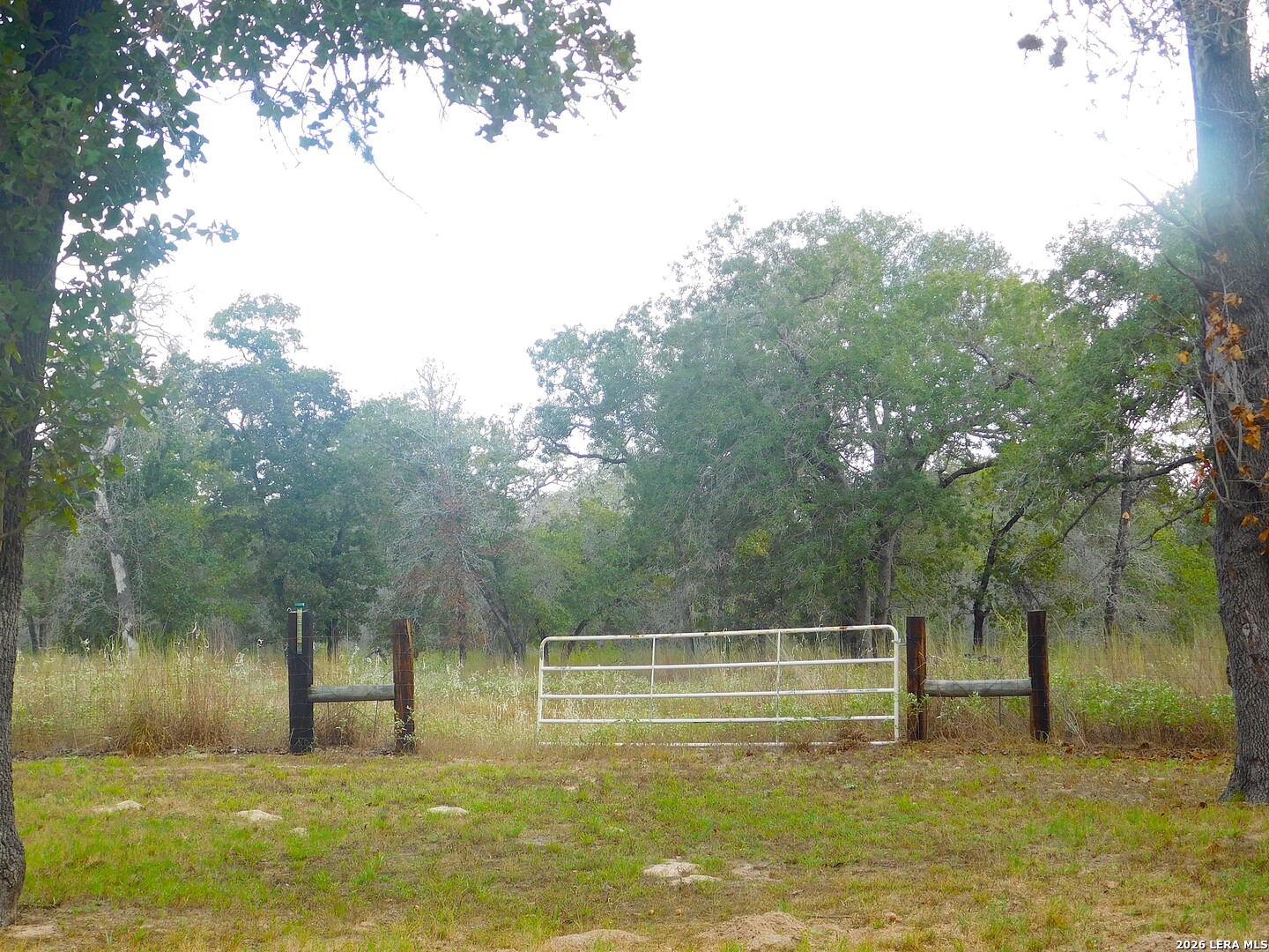 110 Hunters Glen Floresville TX 78114