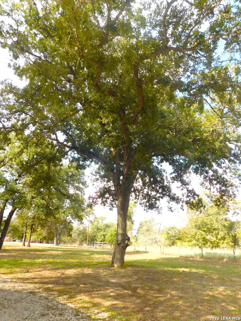 110 Hunters Glen Floresville TX 78114