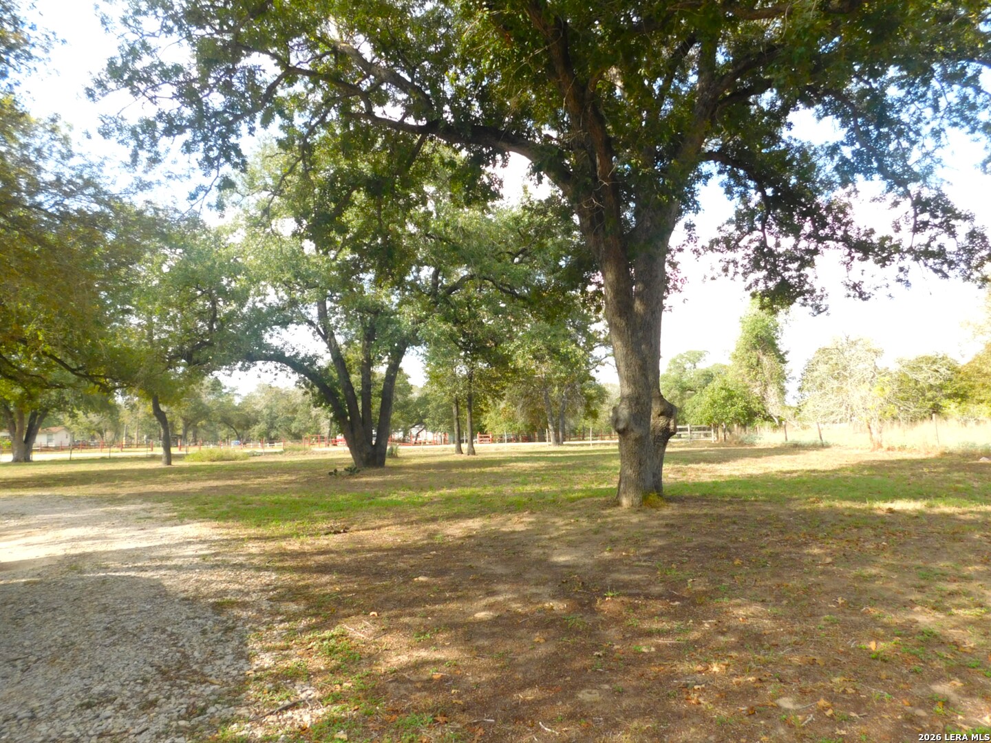 110 Hunters Glen Floresville TX 78114