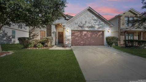 21730 Seminole Oaks San Antonio TX 78261