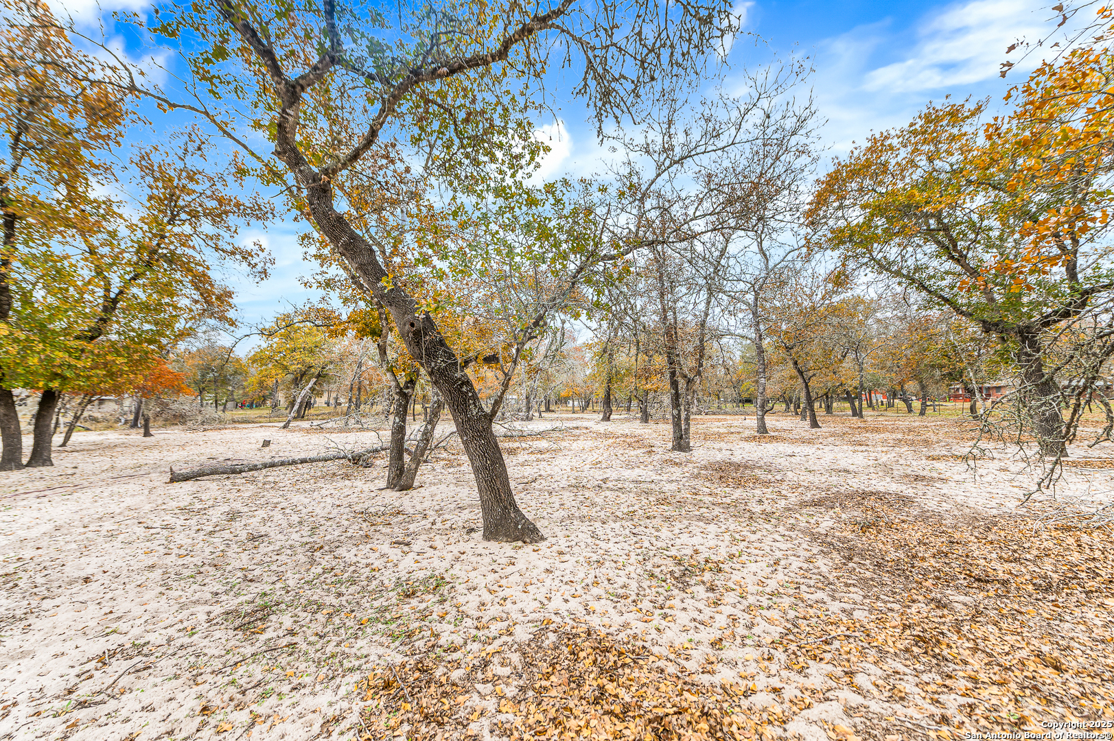 690 Cherry Ridge Floresville TX 78114