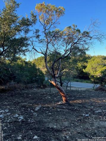 340 Ledgeview Drive Canyon Lake TX 78133