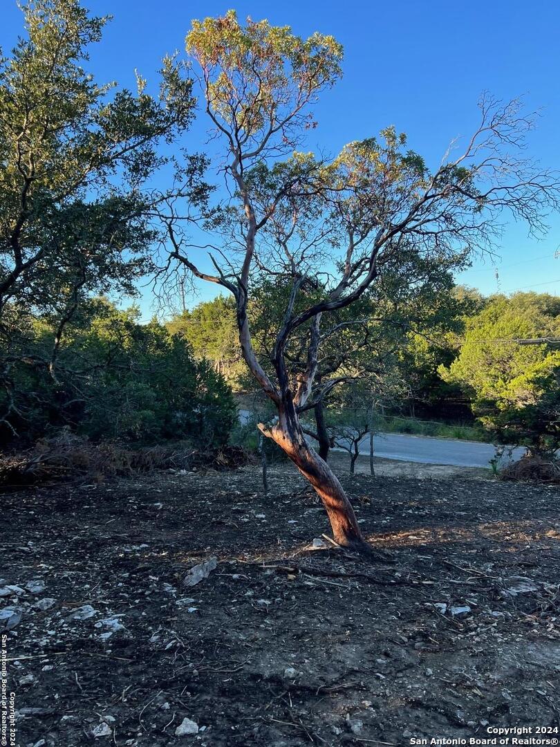 340 Ledgeview Drive Canyon Lake TX 78133