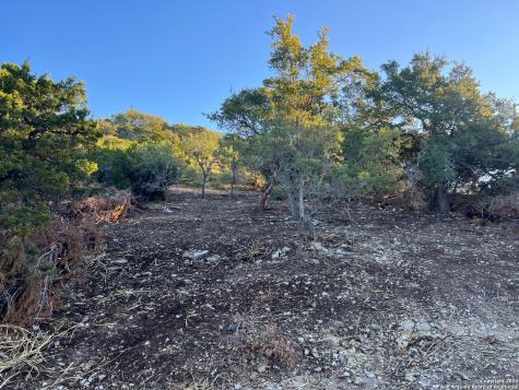 340 Ledgeview Drive Canyon Lake TX 78133