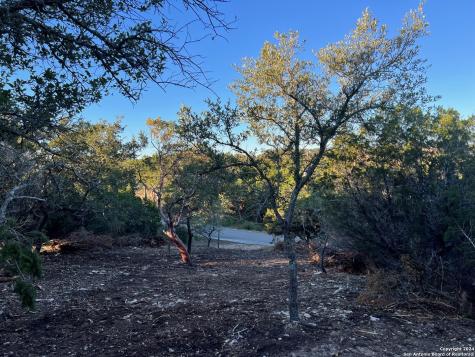 340 Ledgeview Drive Canyon Lake TX 78133
