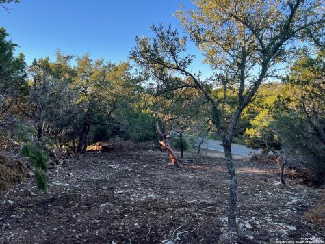 340 Ledgeview Drive Canyon Lake TX 78133