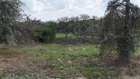 1228 Morning Glory Lane Adkins TX 78101
