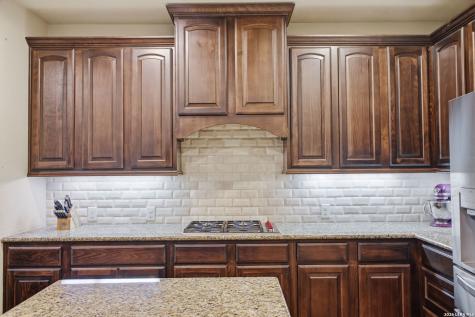 25518 Green Terrace San Antonio TX 78255