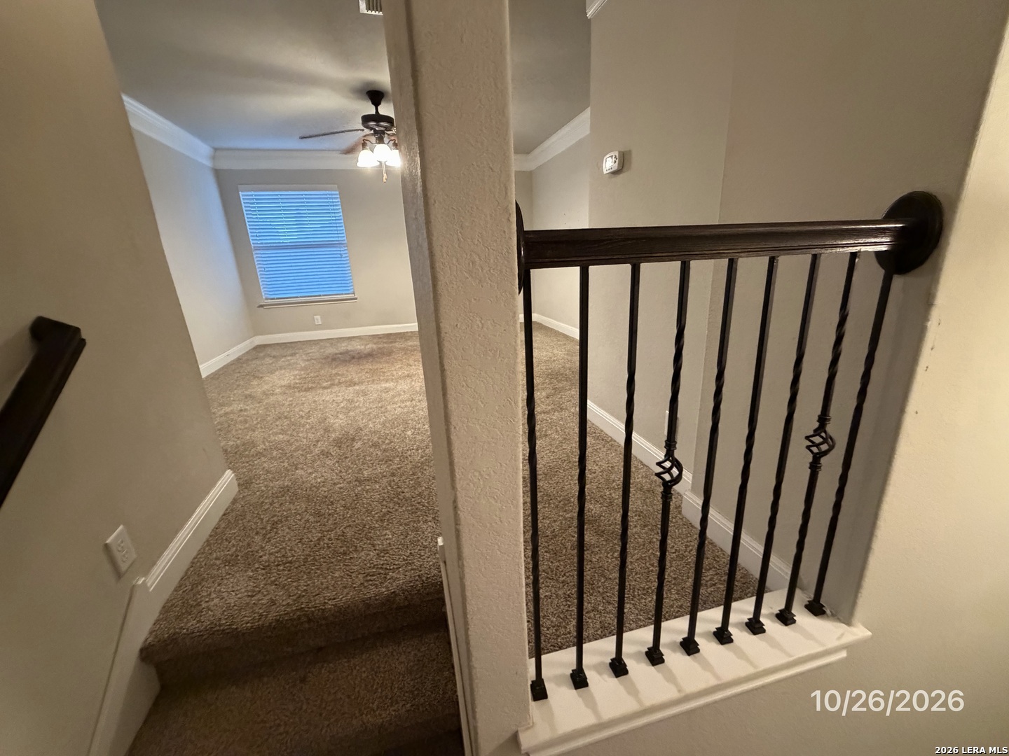 520 Albarella Cibolo TX 78108