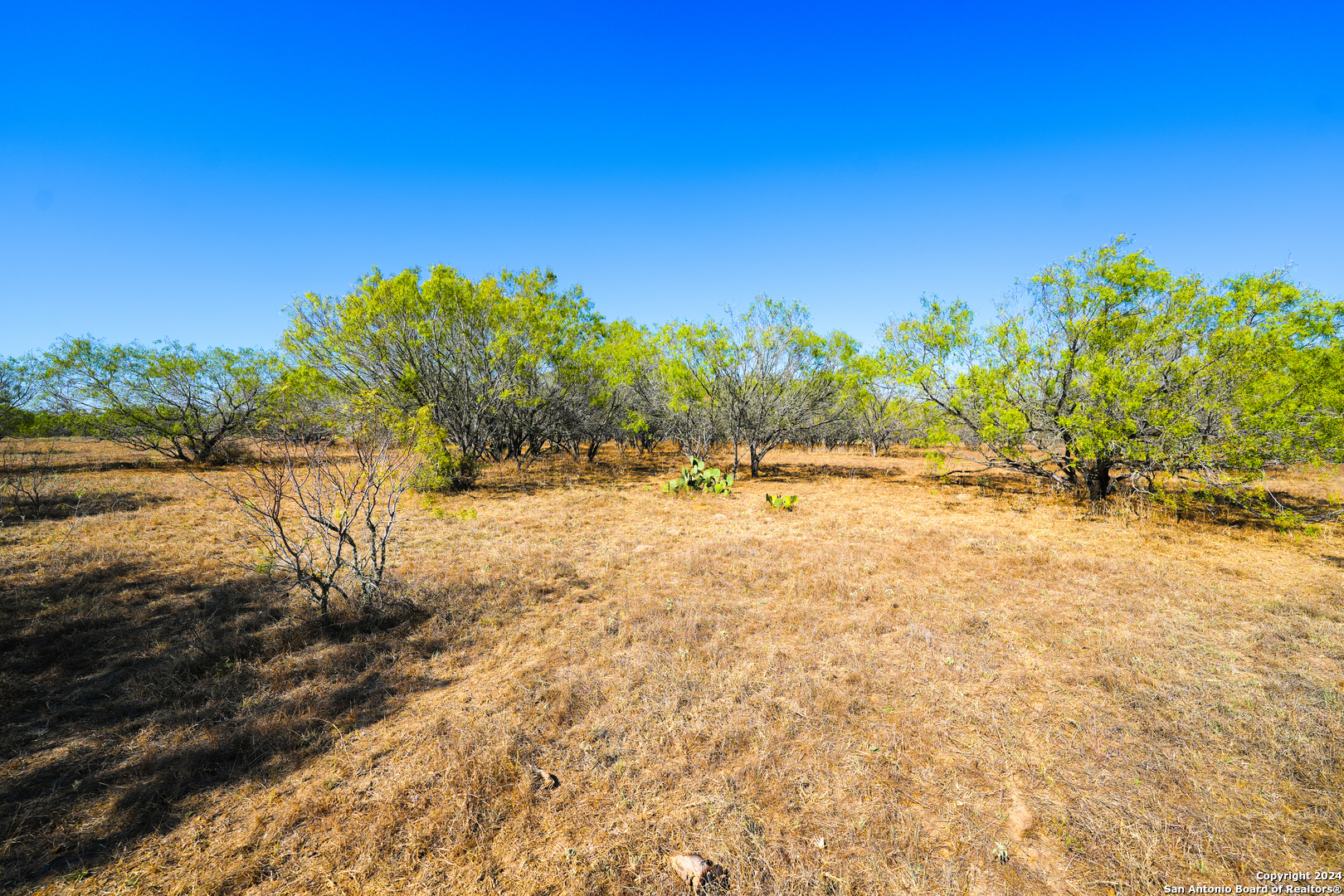 315 Old Pleasanton Road San Antonio TX 78264