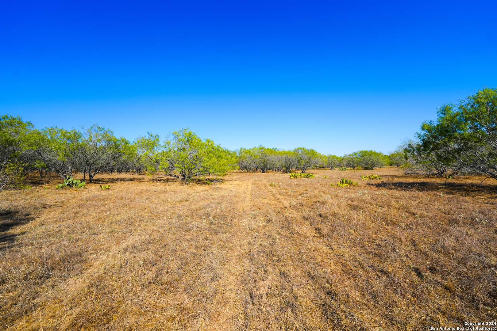 315 Old Pleasanton Road San Antonio TX 78264