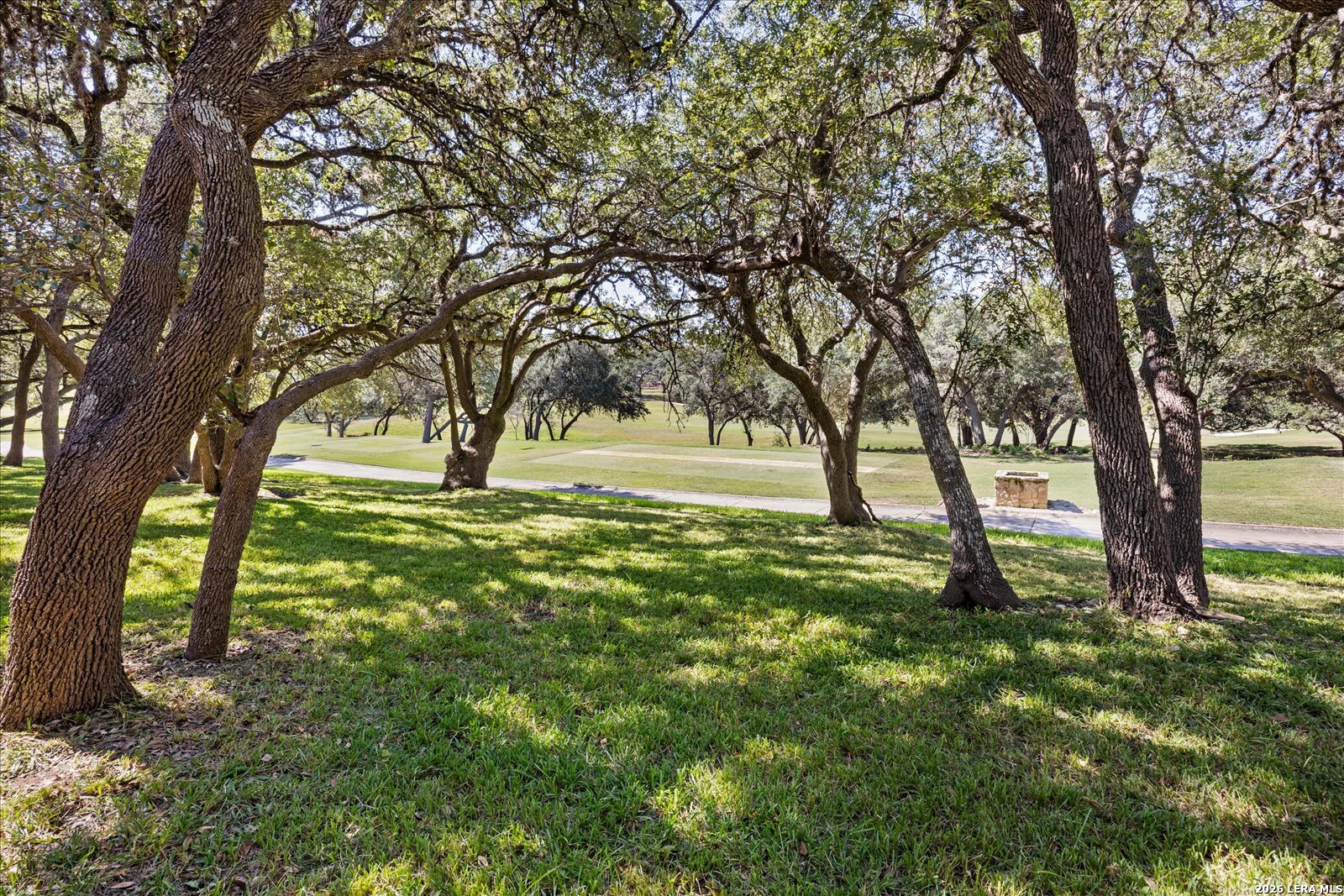 29335 No Le Hace Fair Oaks Ranch TX 78015