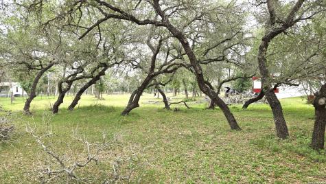 318 Shady Oaks Floresville TX 78114