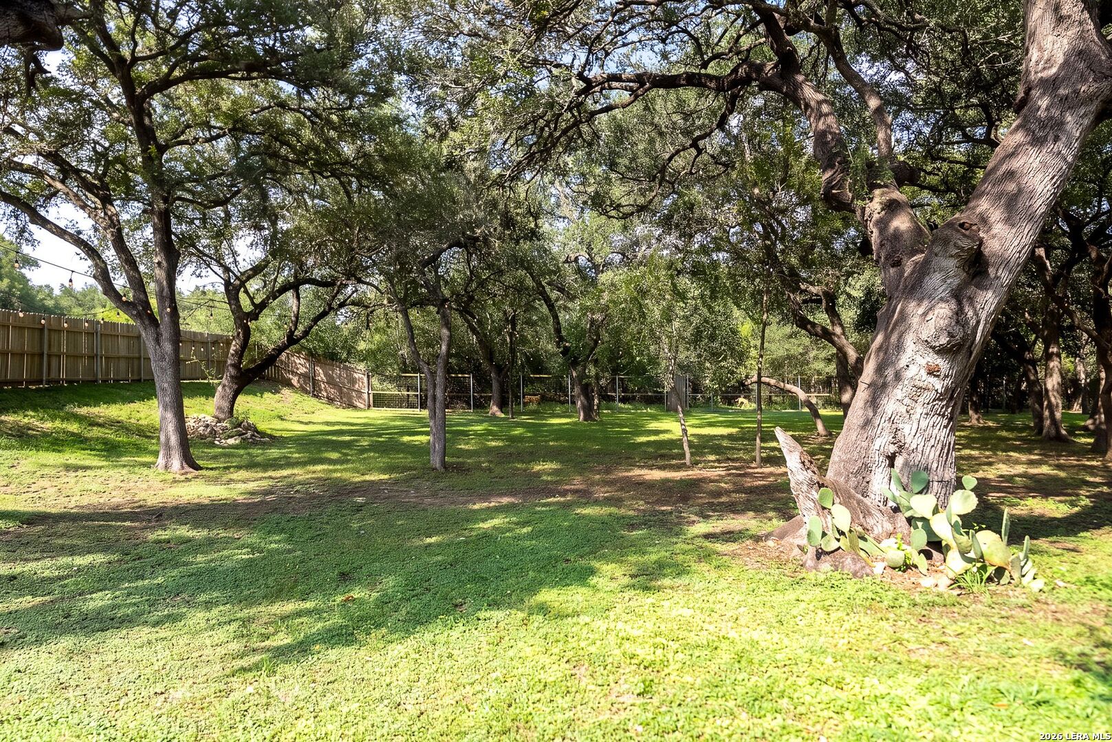 4006 Big Horn Bend San Antonio TX 78253