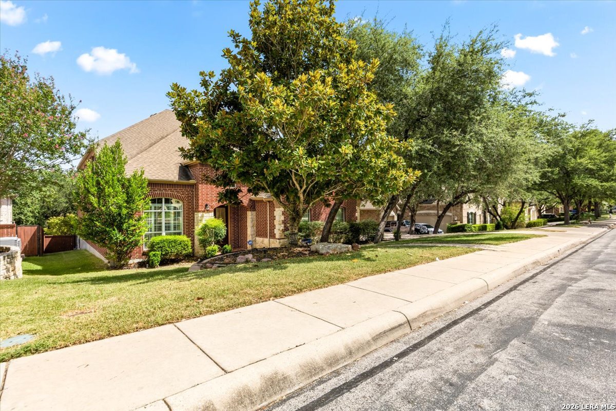 162 Yaupon Trail San Antonio TX 78256