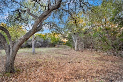 31952 Smithson Valley Bulverde TX 78163