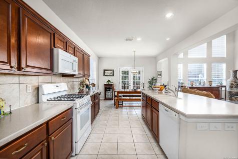 510 Catanbo Court San Antonio TX 78258