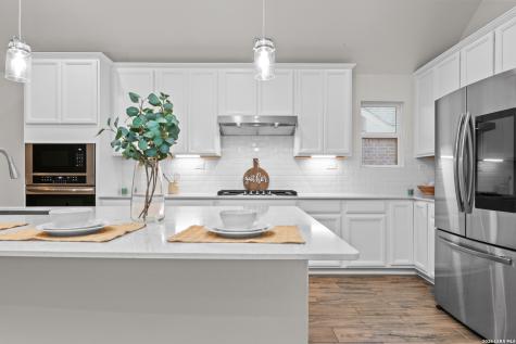 2278 Indigobush Drive New Braunfels TX 78132