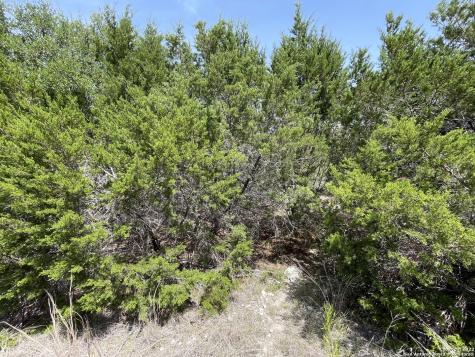 421 Bluebonnet Breeze Canyon Lake TX 78133