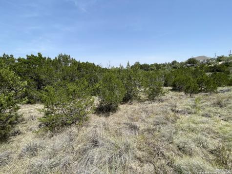 421 Bluebonnet Breeze Canyon Lake TX 78133