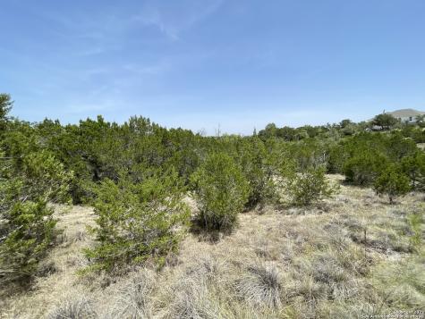 421 Bluebonnet Breeze Canyon Lake TX 78133