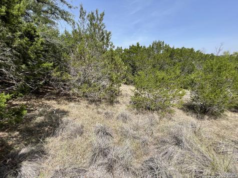 421 Bluebonnet Breeze Canyon Lake TX 78133
