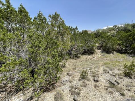 421 Bluebonnet Breeze Canyon Lake TX 78133