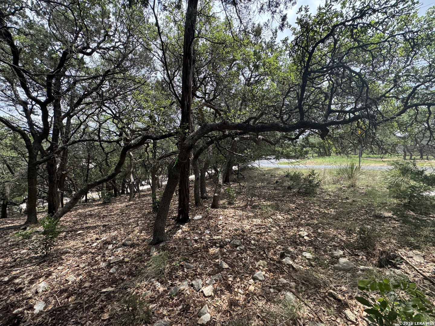 25918 Silver Cloud Drive San Antonio TX 78260