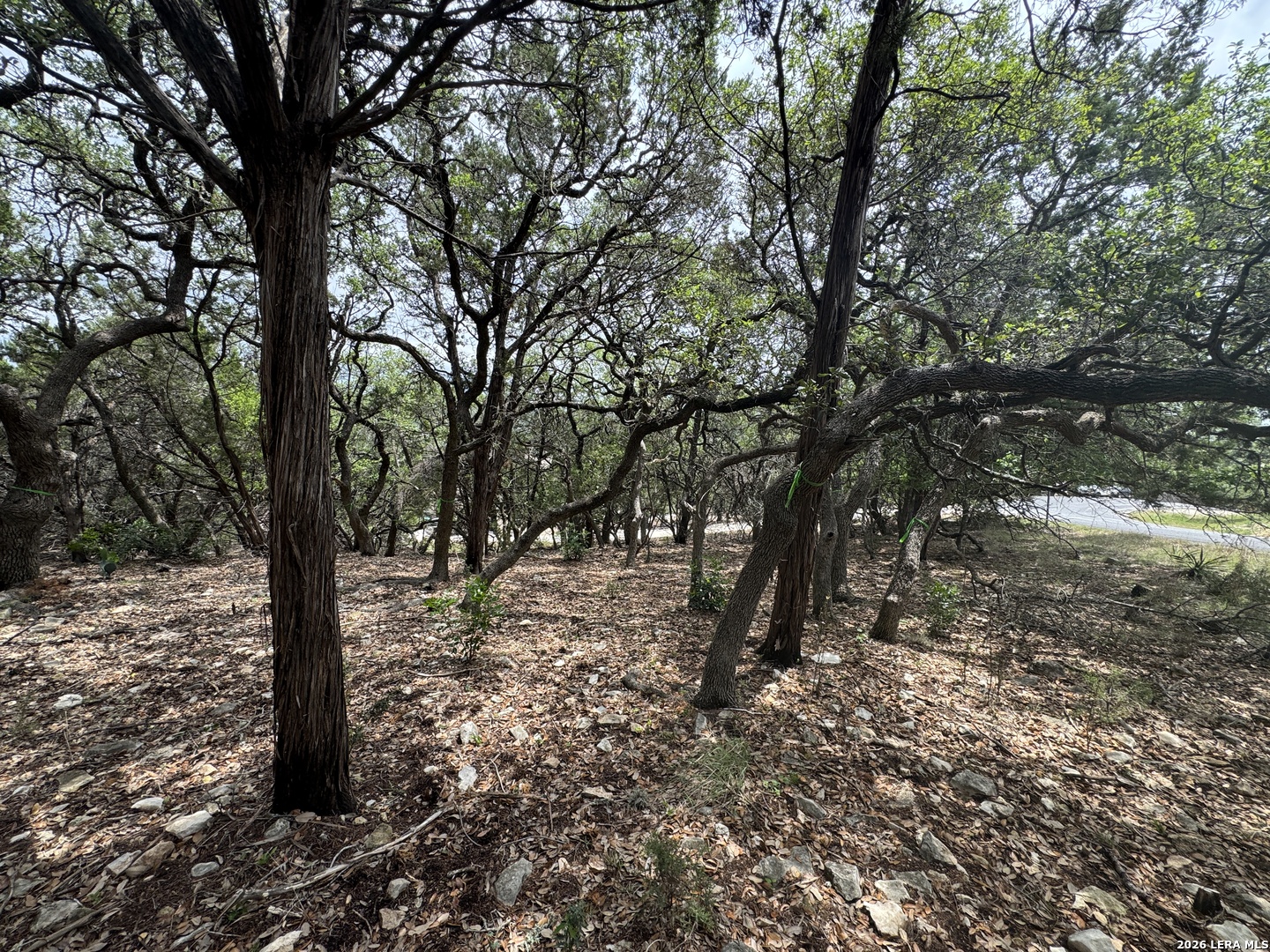 25918 Silver Cloud Drive San Antonio TX 78260