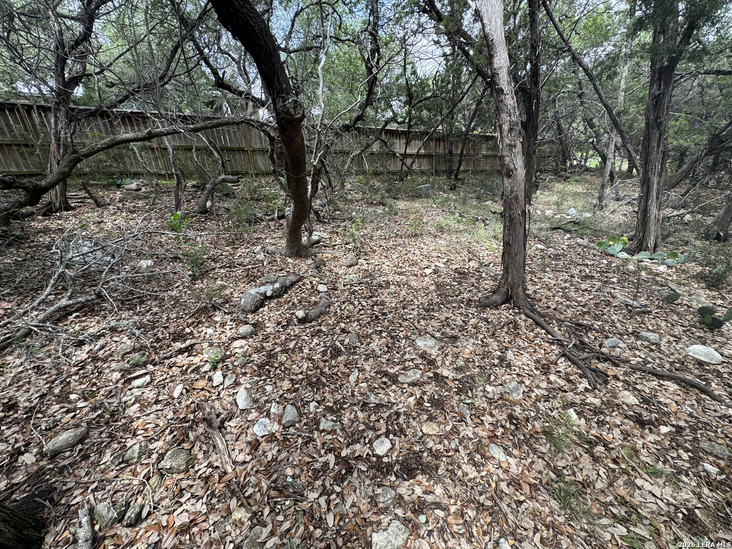25918 Silver Cloud Drive San Antonio TX 78260