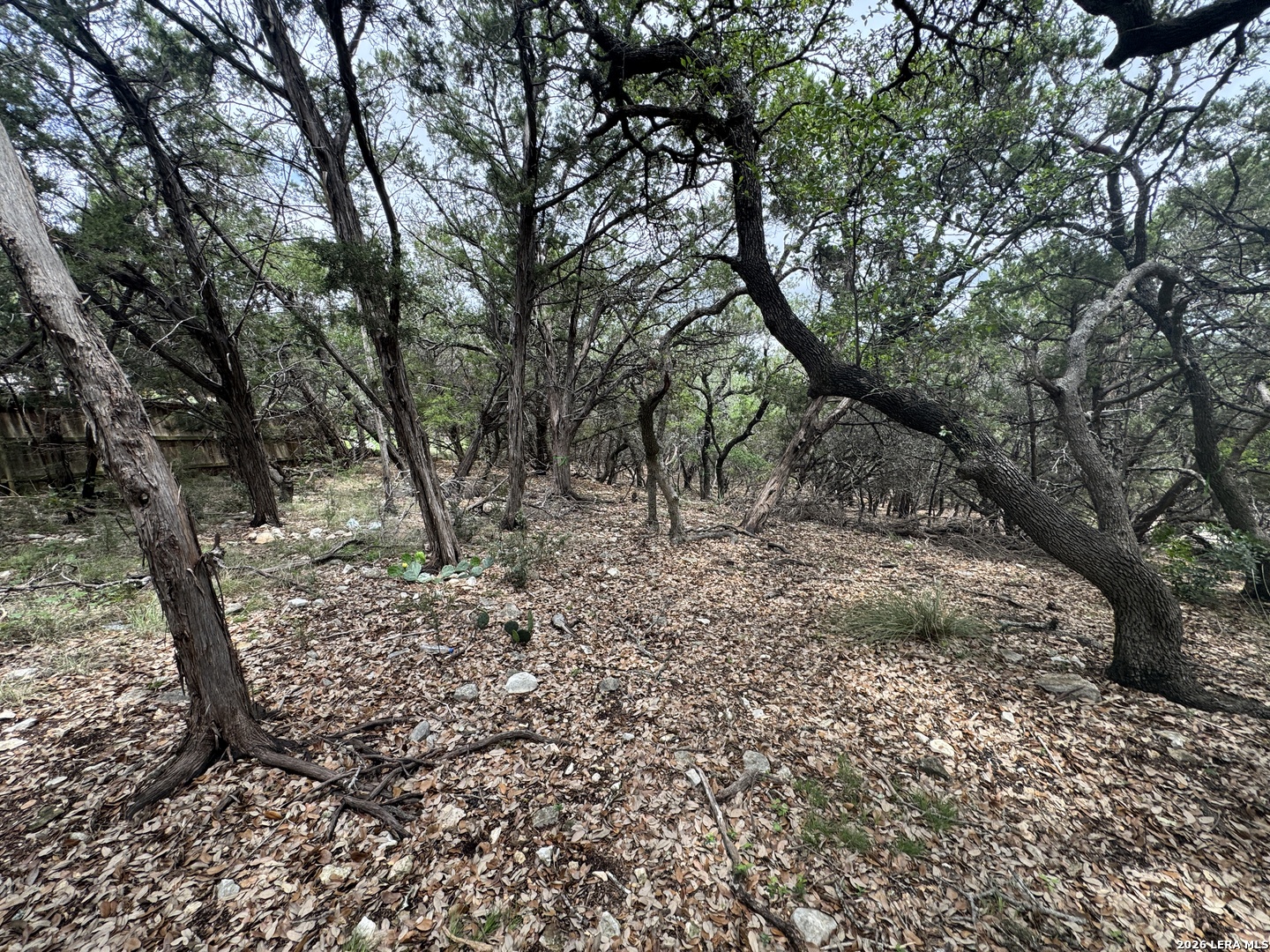 25918 Silver Cloud Drive San Antonio TX 78260