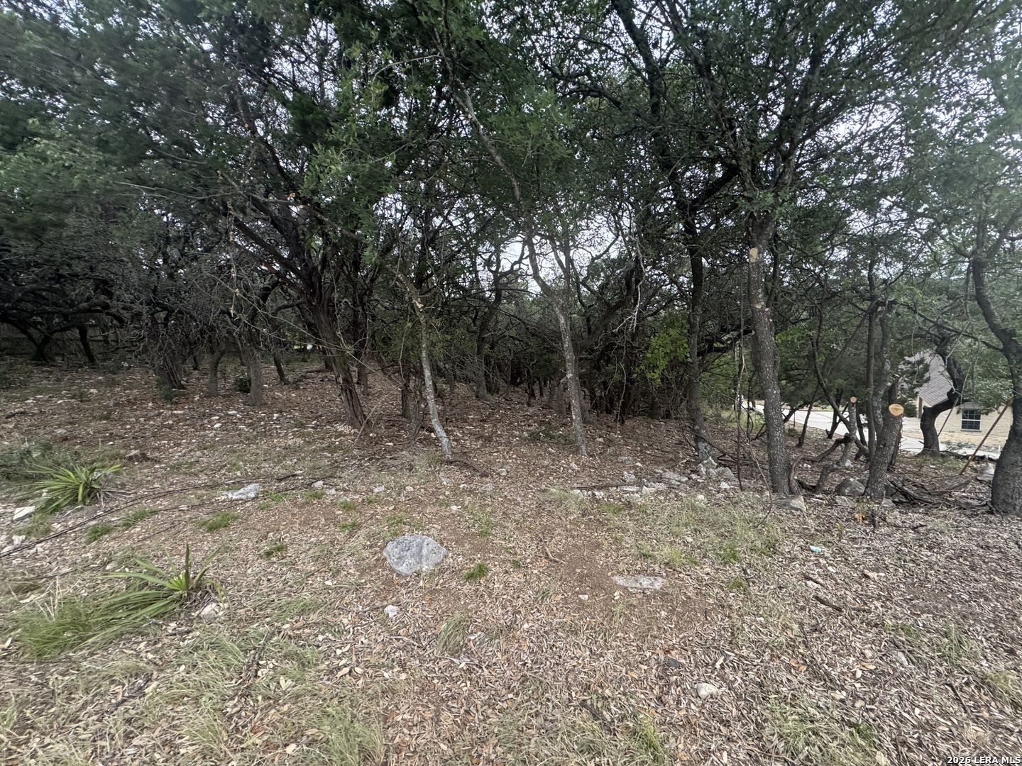 25918 Silver Cloud Drive San Antonio TX 78260