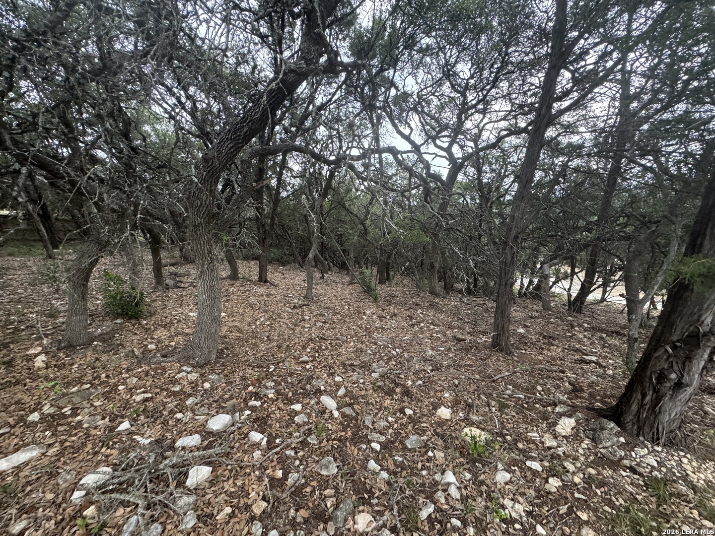 25918 Silver Cloud Drive San Antonio TX 78260