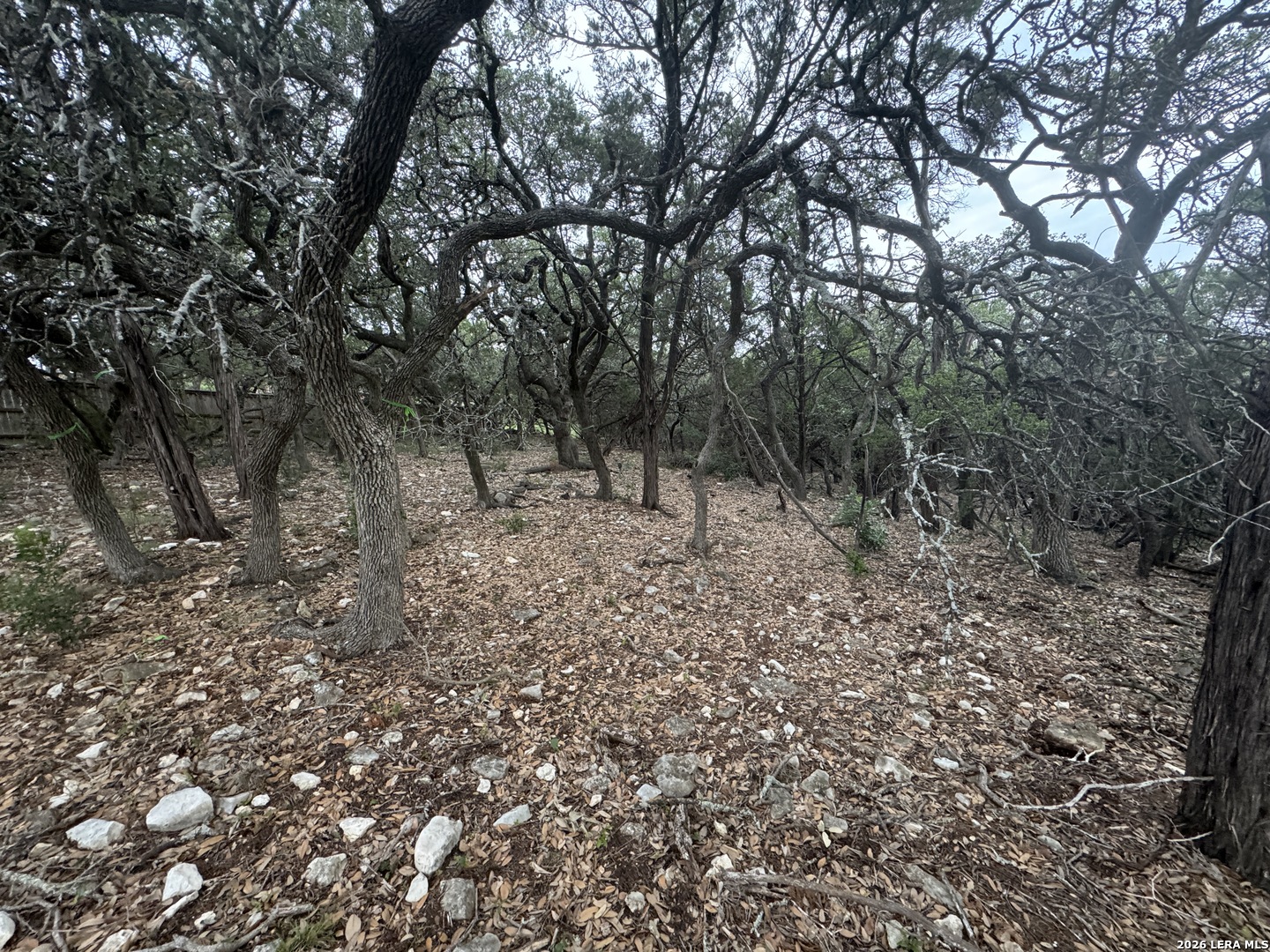 25918 Silver Cloud Drive San Antonio TX 78260