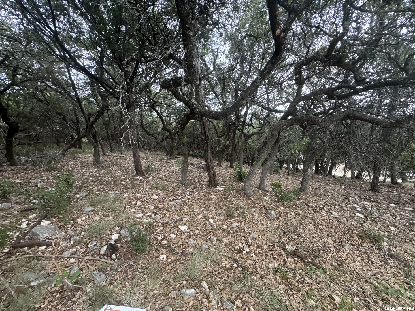 25918 Silver Cloud Drive San Antonio TX 78260