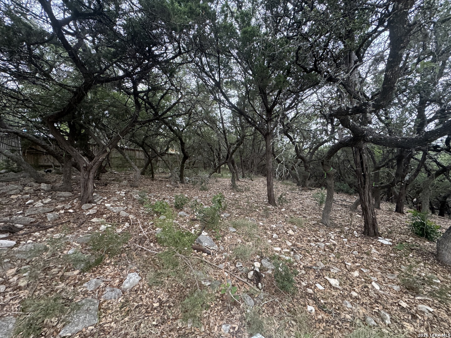 25918 Silver Cloud Drive San Antonio TX 78260