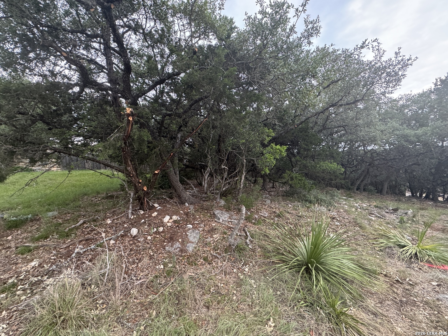 25918 Silver Cloud Drive San Antonio TX 78260