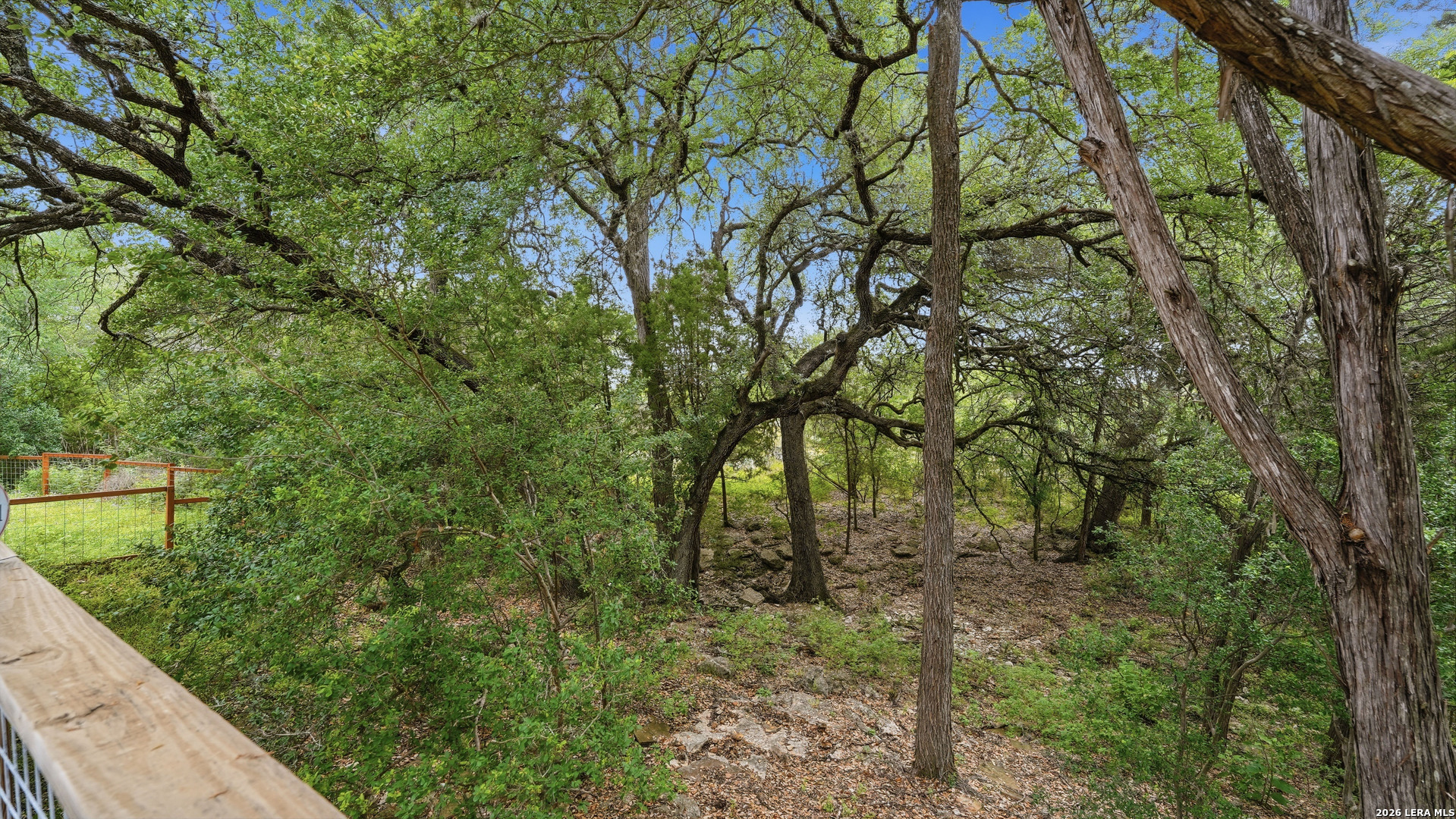 808 Elmwood Cove New Braunfels TX 78130