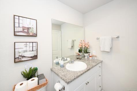 2618 Pechora Pipit New Braunfels TX 78130