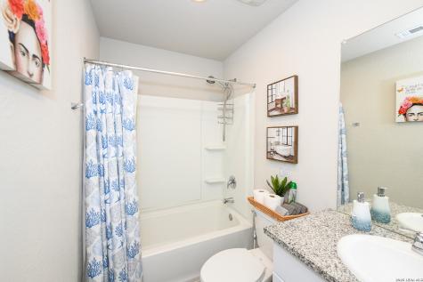 2618 Pechora Pipit New Braunfels TX 78130