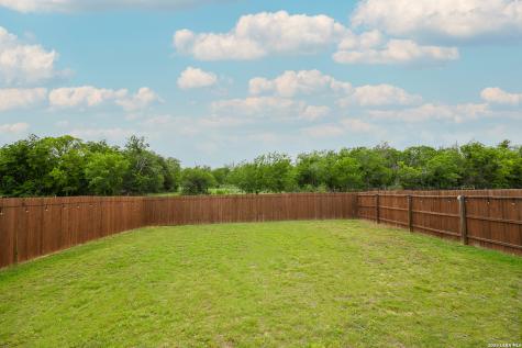2618 Pechora Pipit New Braunfels TX 78130