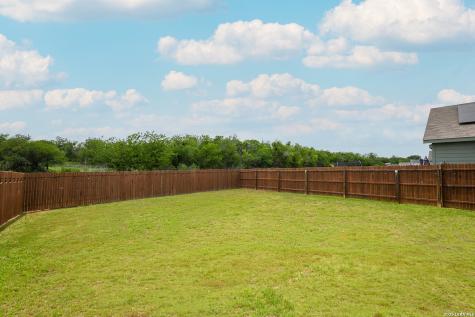 2618 Pechora Pipit New Braunfels TX 78130