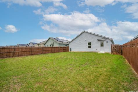 2618 Pechora Pipit New Braunfels TX 78130