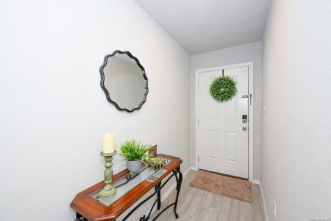 2618 Pechora Pipit New Braunfels TX 78130