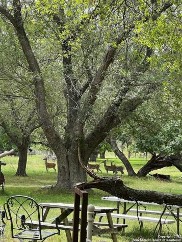 168 Water Street Pipe Creek TX 78063