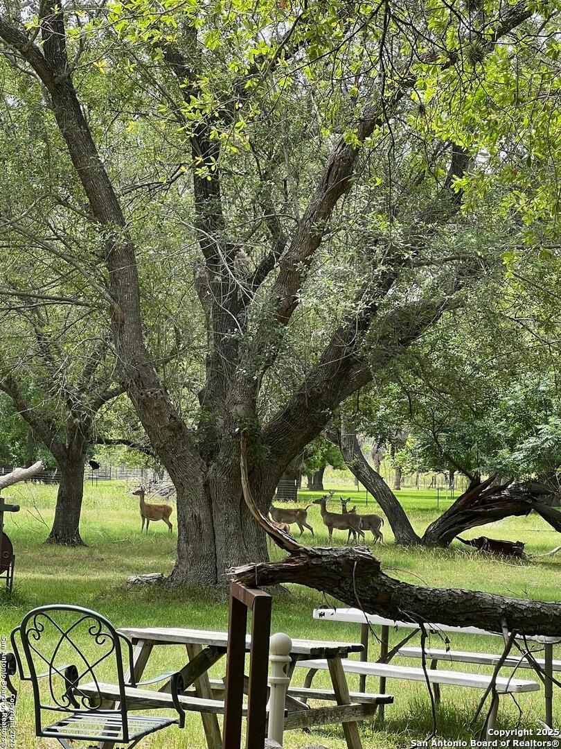168 Water Street Pipe Creek TX 78063
