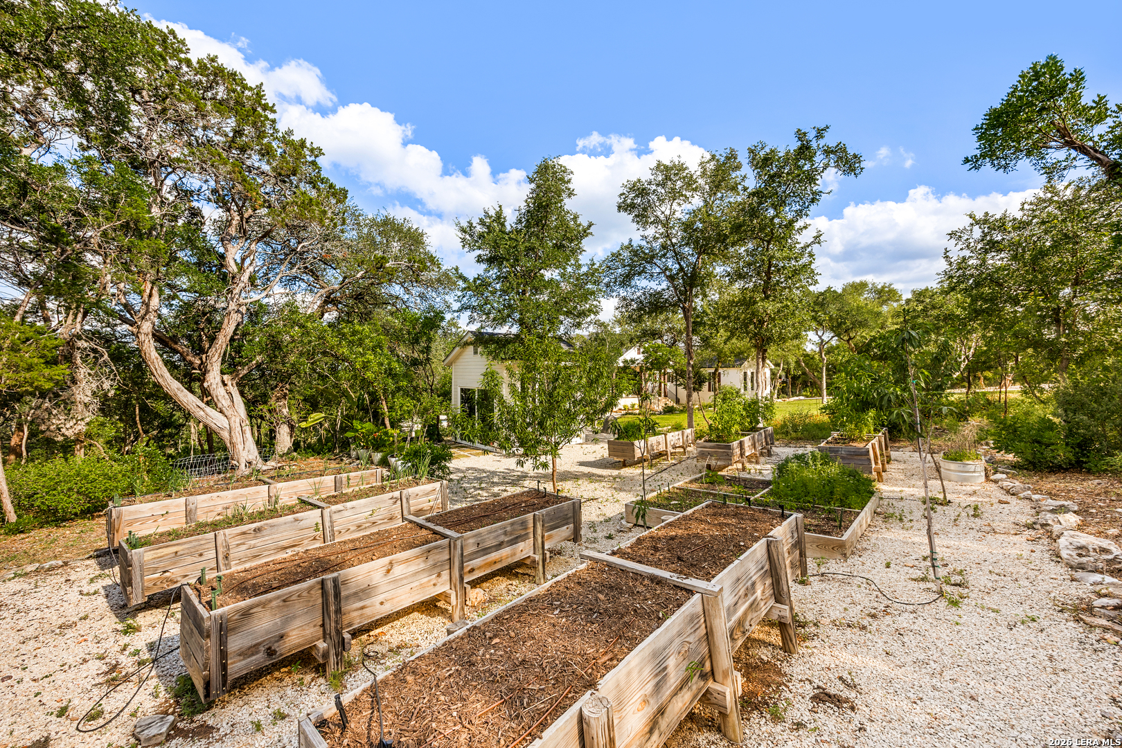 359 Ash Juniper New Braunfels TX 78132