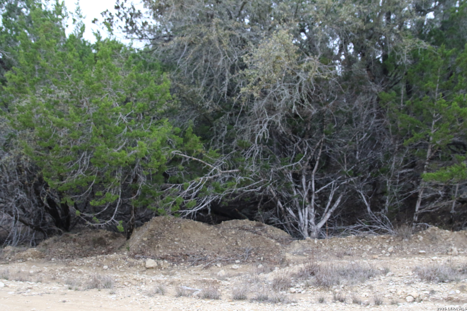 169 Red Bluff Drive Pipe Creek TX 78063