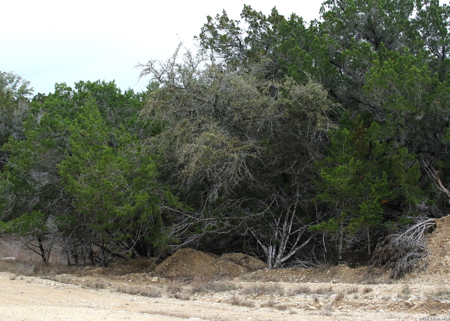 169 Red Bluff Drive Pipe Creek TX 78063